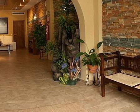 Hotel Rural Miguel Angel Алькарасехос Экстерьер фото
